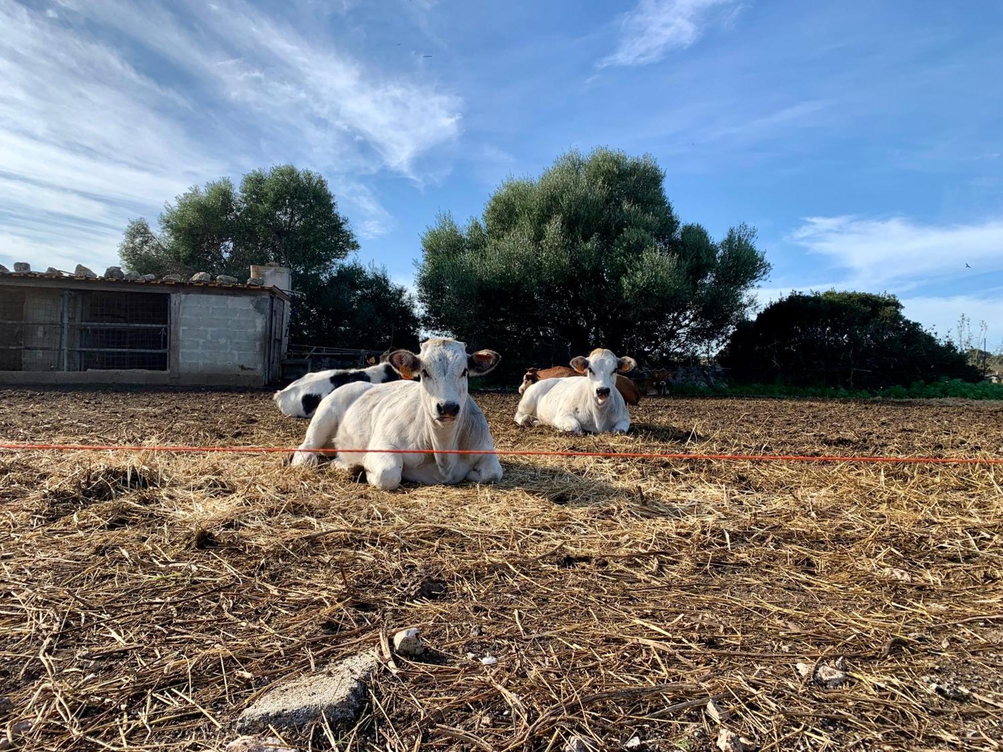 Cozzo Spadaro B&B Portopalo Di Capo Passero Esterno foto