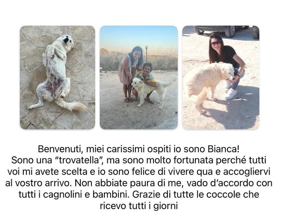Cozzo Spadaro B&B Portopalo Di Capo Passero Esterno foto