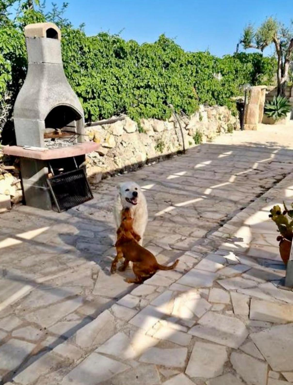 Cozzo Spadaro B&B Portopalo Di Capo Passero Esterno foto